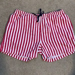 Men’s Patriotic Chubbies Shorts